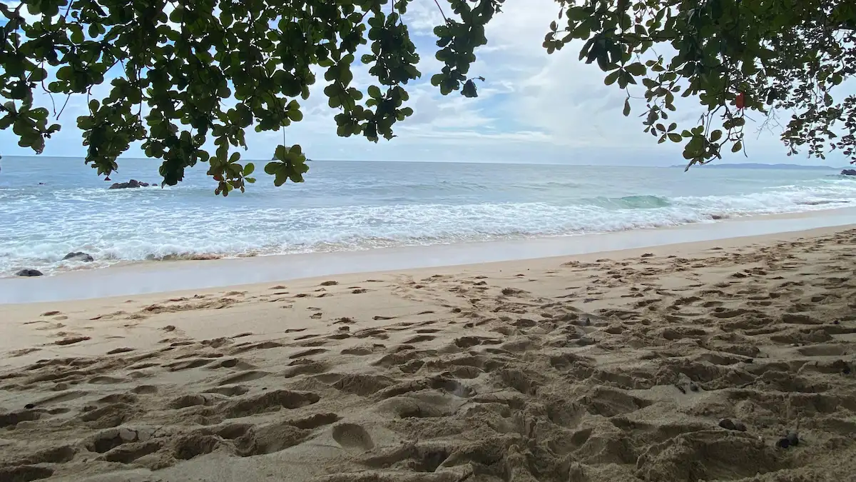 laut jernih dan batu karang alami di pesisir bitung