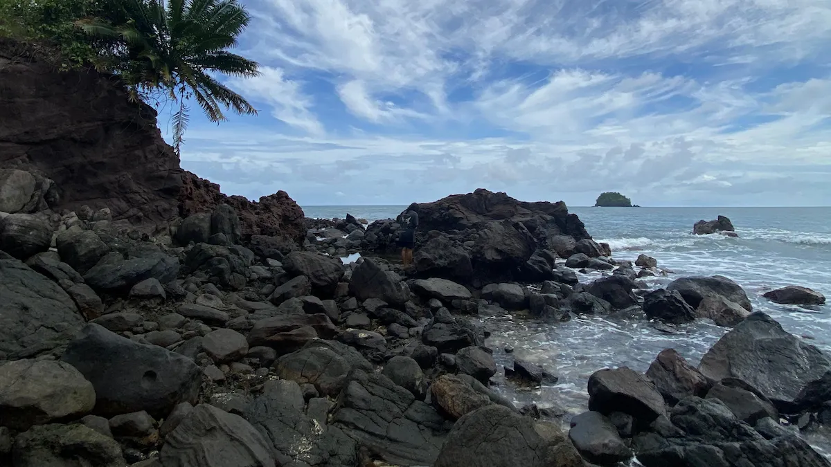 area batu karang dan pohon kelapa di pesisir bitung