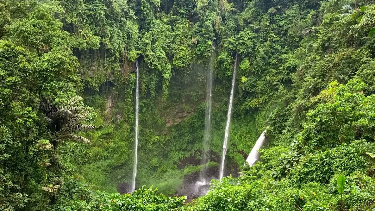 air terjun tinoor dengan panorama hutan hijau di tomohon