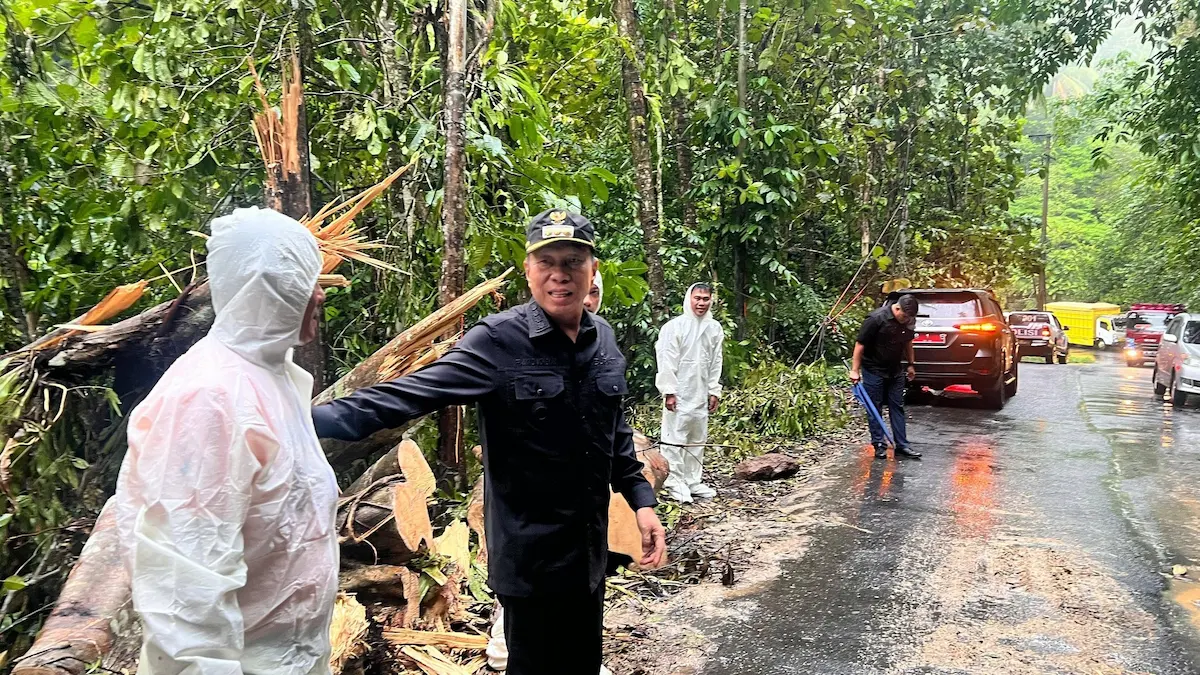 Bupati Minahasa Selatan memantau penanganan longsor jalur menuju Modoinding