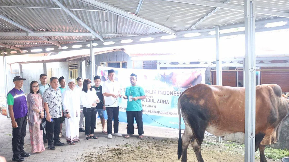 Bupati Franky Wongkar menyerahkan sapi kurban Presiden RI kepada pengurus Masjid At-Taqwa Kapitu