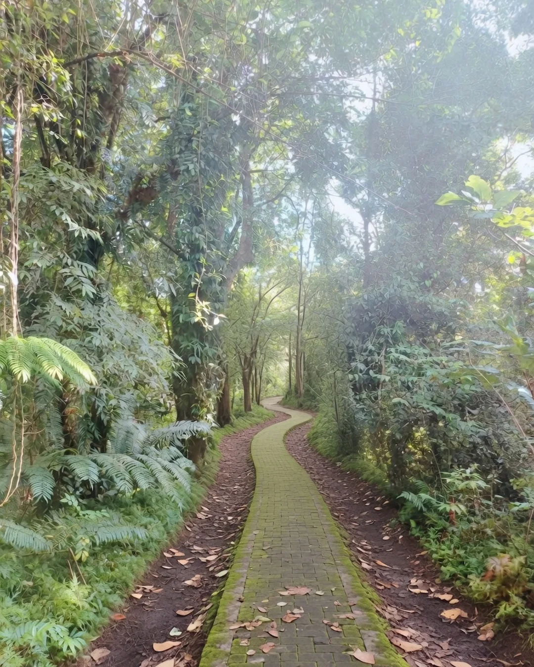 jalur trekking menuju kawasan air terjun di hutan tomohon