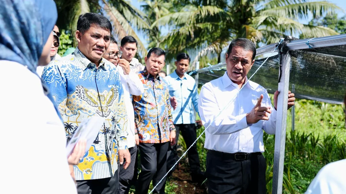Mentan Amran memeriksa bibit kelapa bersama Gubernur Sulut di lokasi
