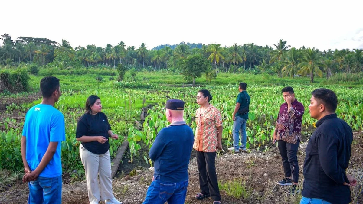 Wakil Bupati Talaud Anisya Bambungan berdialog dengan warga di lahan budidaya talas Desa Lalue